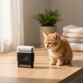 PawLunor Fabric Brush lifestyle hero with small cat on wooden desk