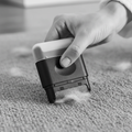 PawLunor Fabric Brush in use on carpet removing pet fur